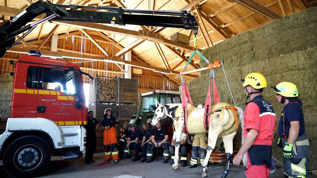 Feuerwehrleute aus dem Landkreis Günzburg trainieren die Großtierrettung mithilfe eines 200kg schweren Dummy-Pferdes