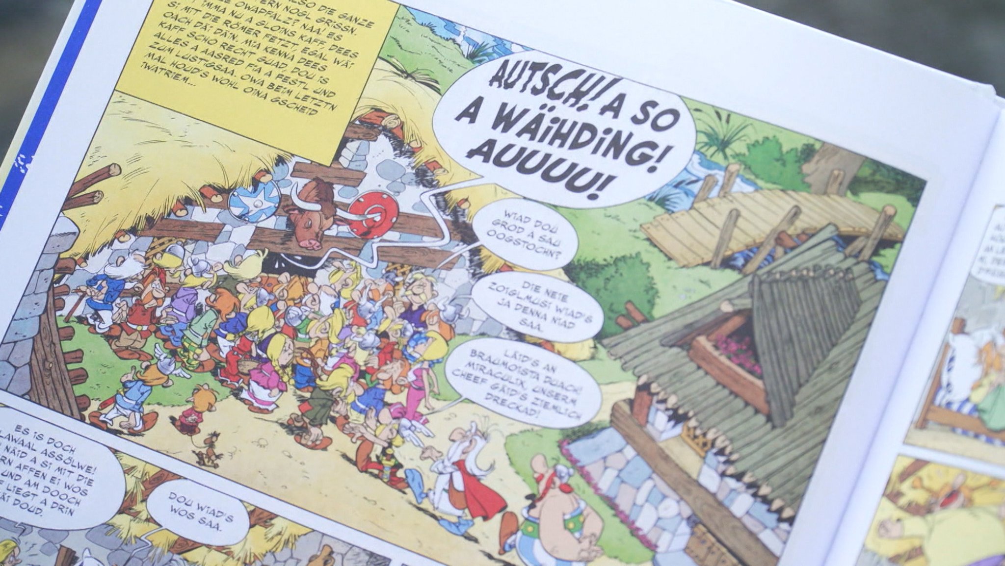 Comic-Bilder aus dem neuen Asterix-Band mit Sprechlasen in oberpfälischen Dialekt