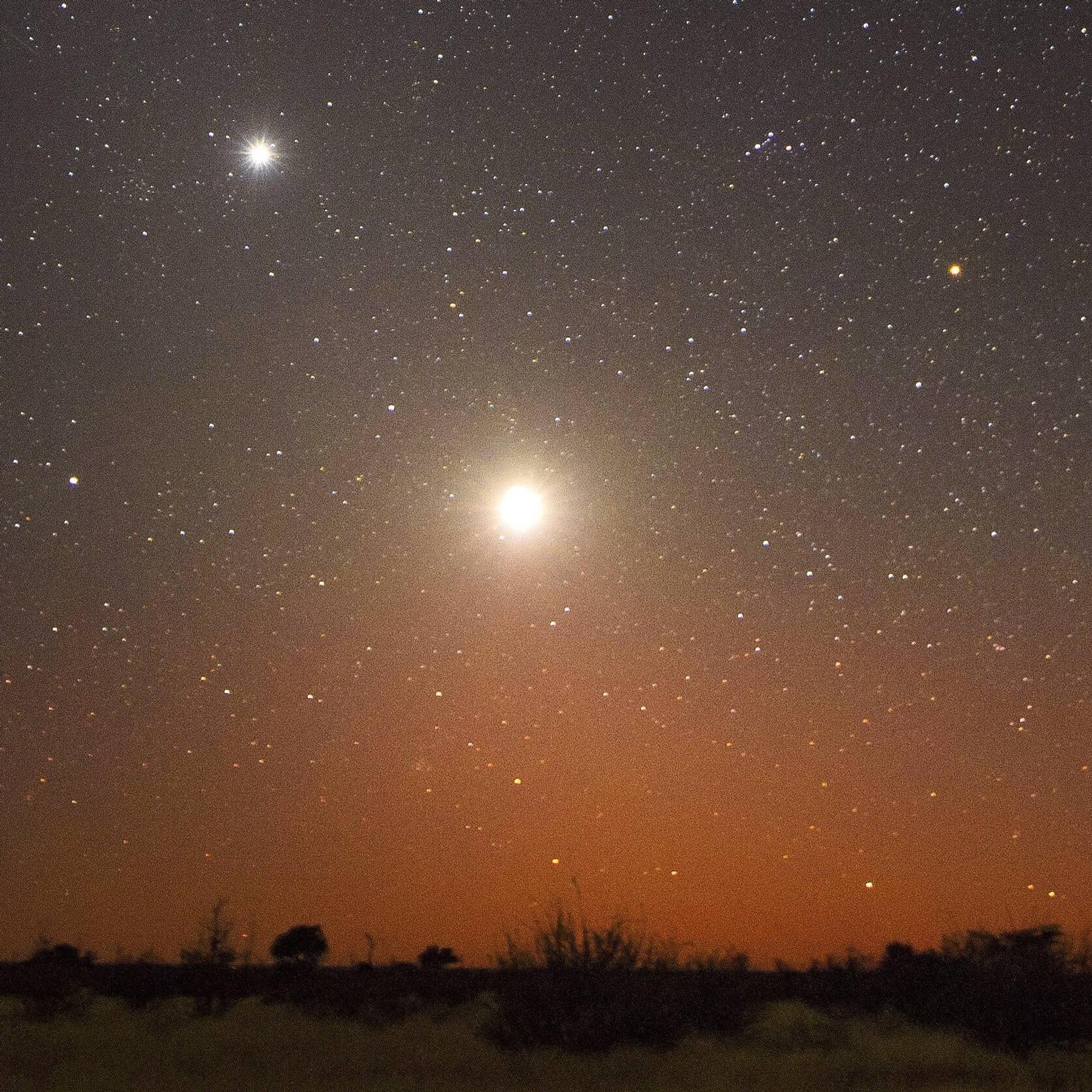 Neuer Morgenstern - Merkur kommt, Venus geht | Sternenhimmel im November