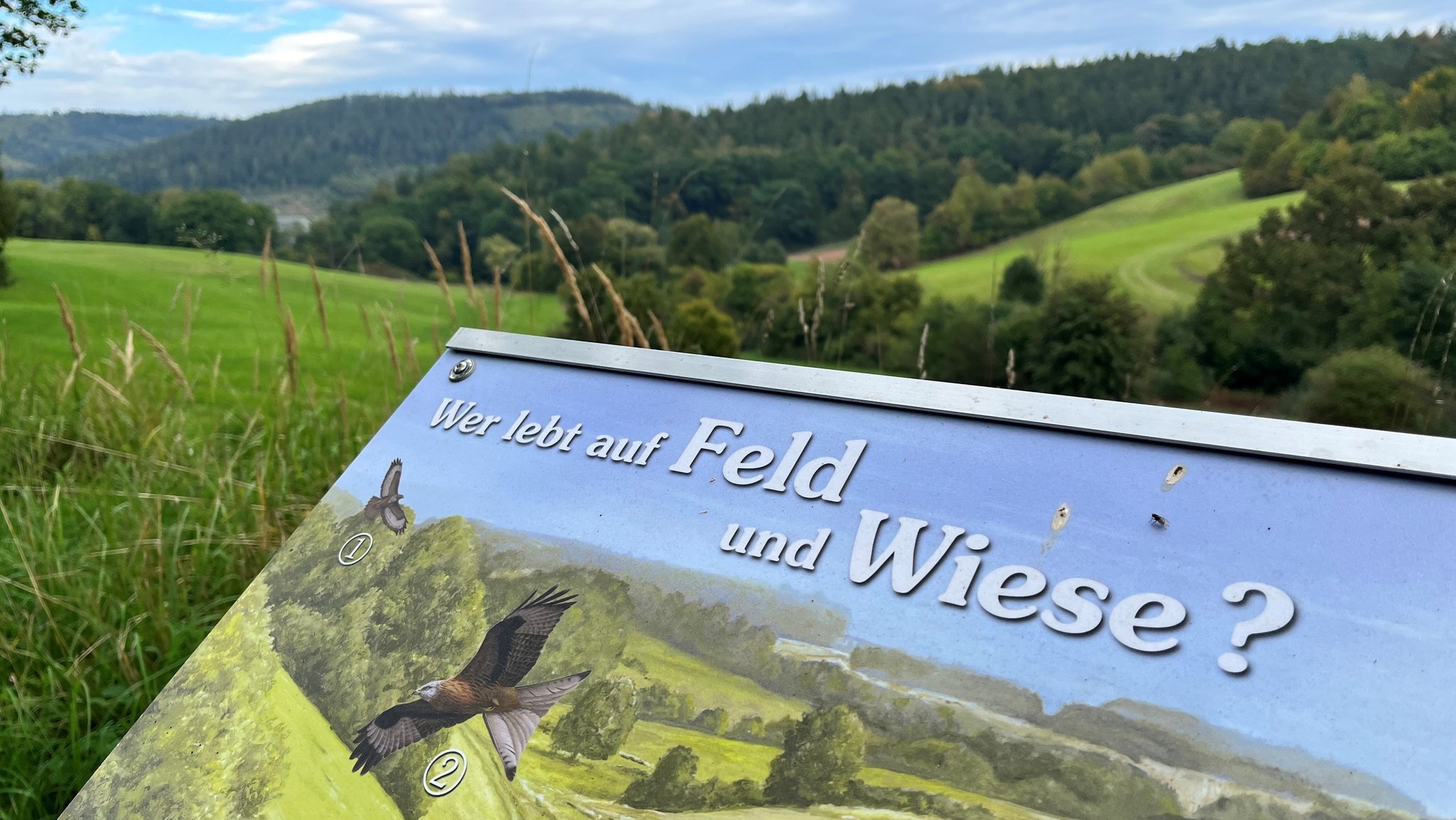 Auf einer Schautafel mit abgebildeten Tieren ist zu lesen: Was lebt auf Feld und Wiese? 