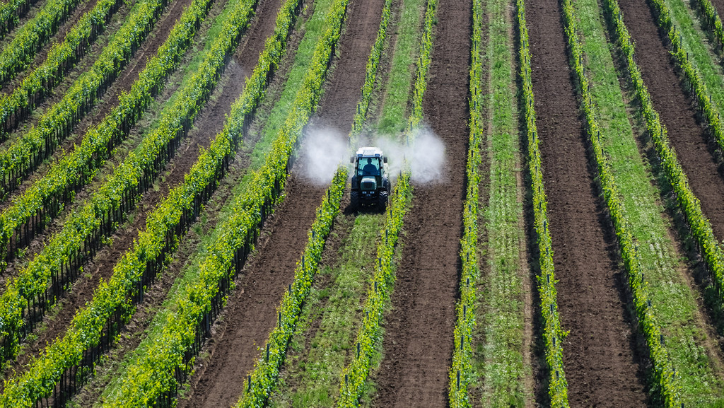Traktor sprüht Pestizide im Weingarten