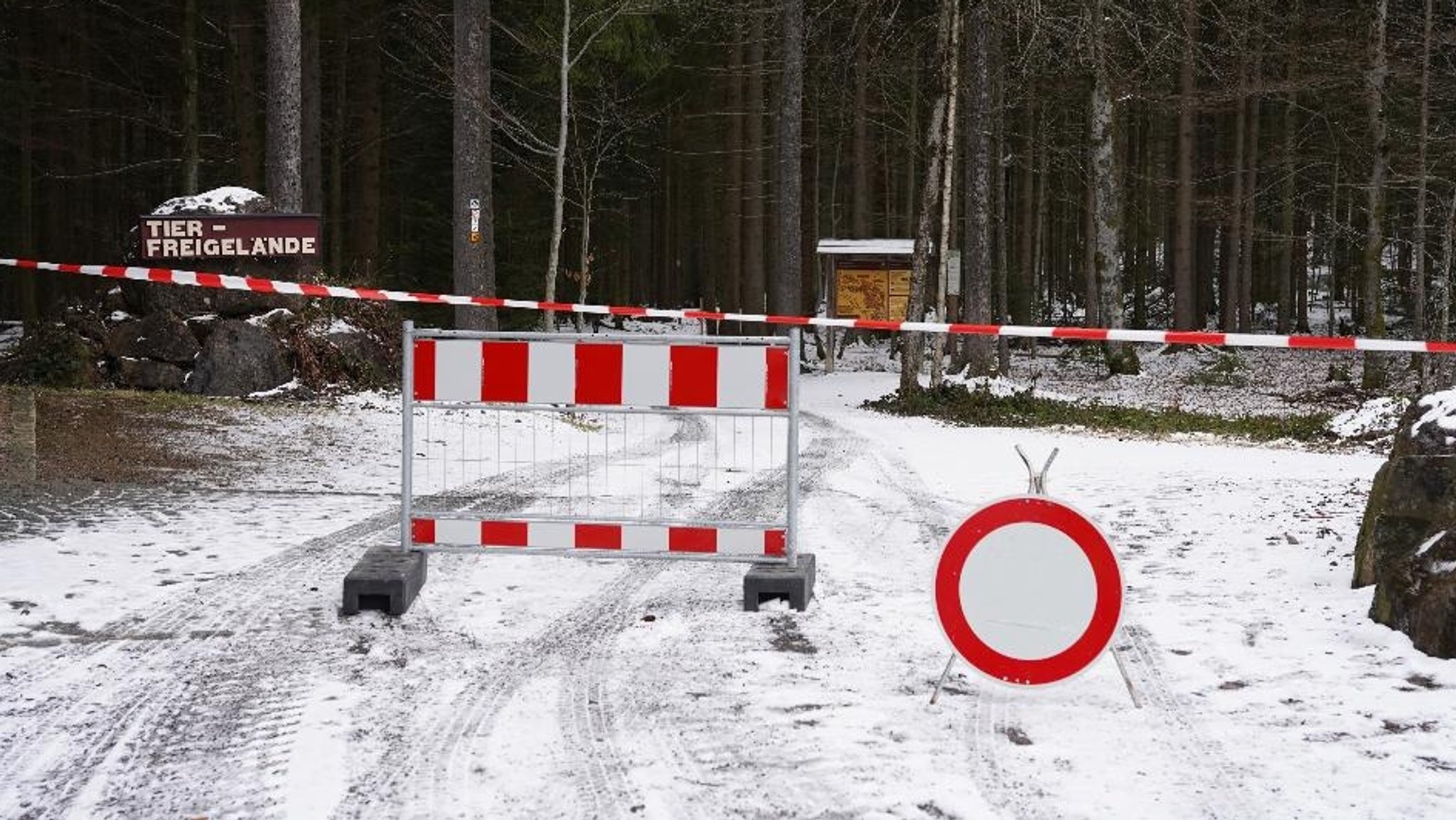 Das Tierfreigelände beim Nationalparkzentrum Lusen ist nach dem Fluzeugabsturz geschlossen