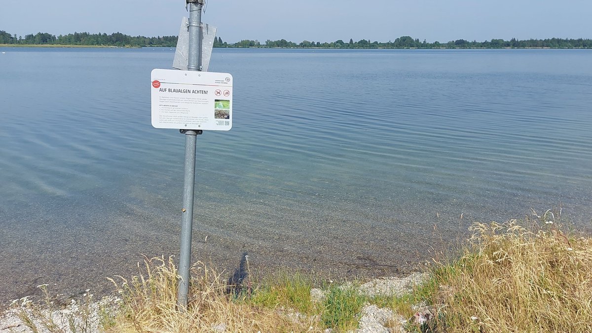 Ein Schild am Mandichosee warnt vor Blaualgen im Wasser.