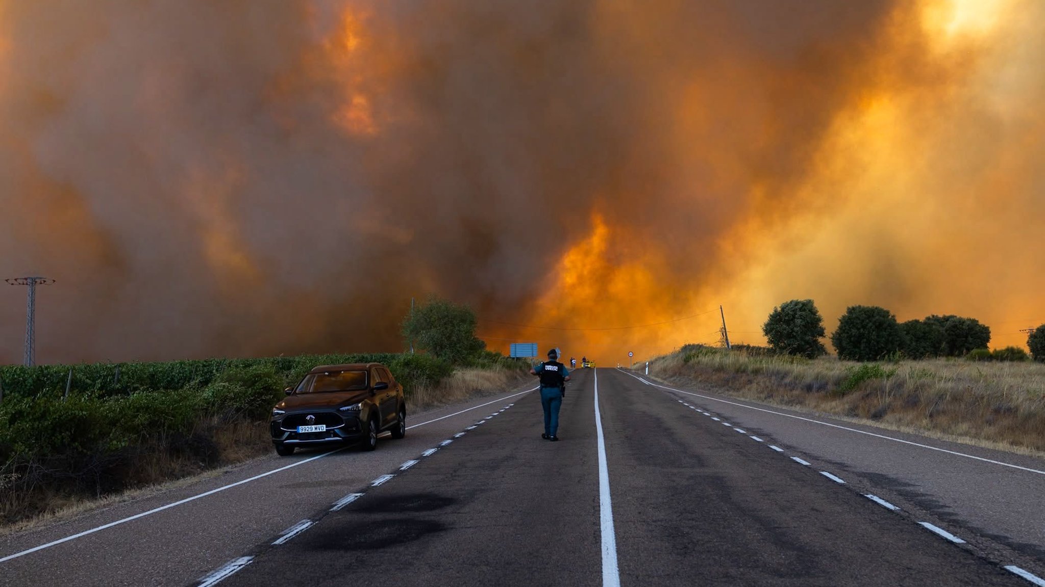 Waldbrände in Europa: Klimawandel als Brandbeschleuniger