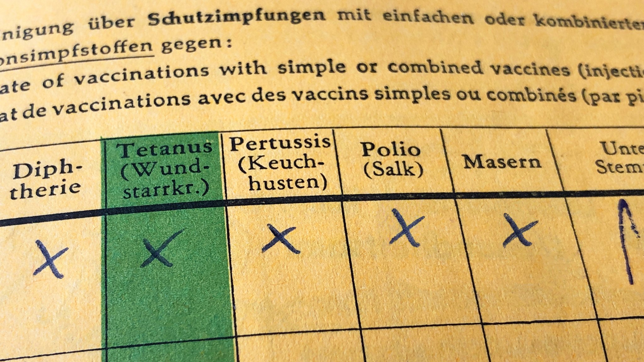 Impfbuch mit den Impfstoffen einer Mehrfachimpfung: Diphtherie, Tetanus, Pertussis, Polio, Masern