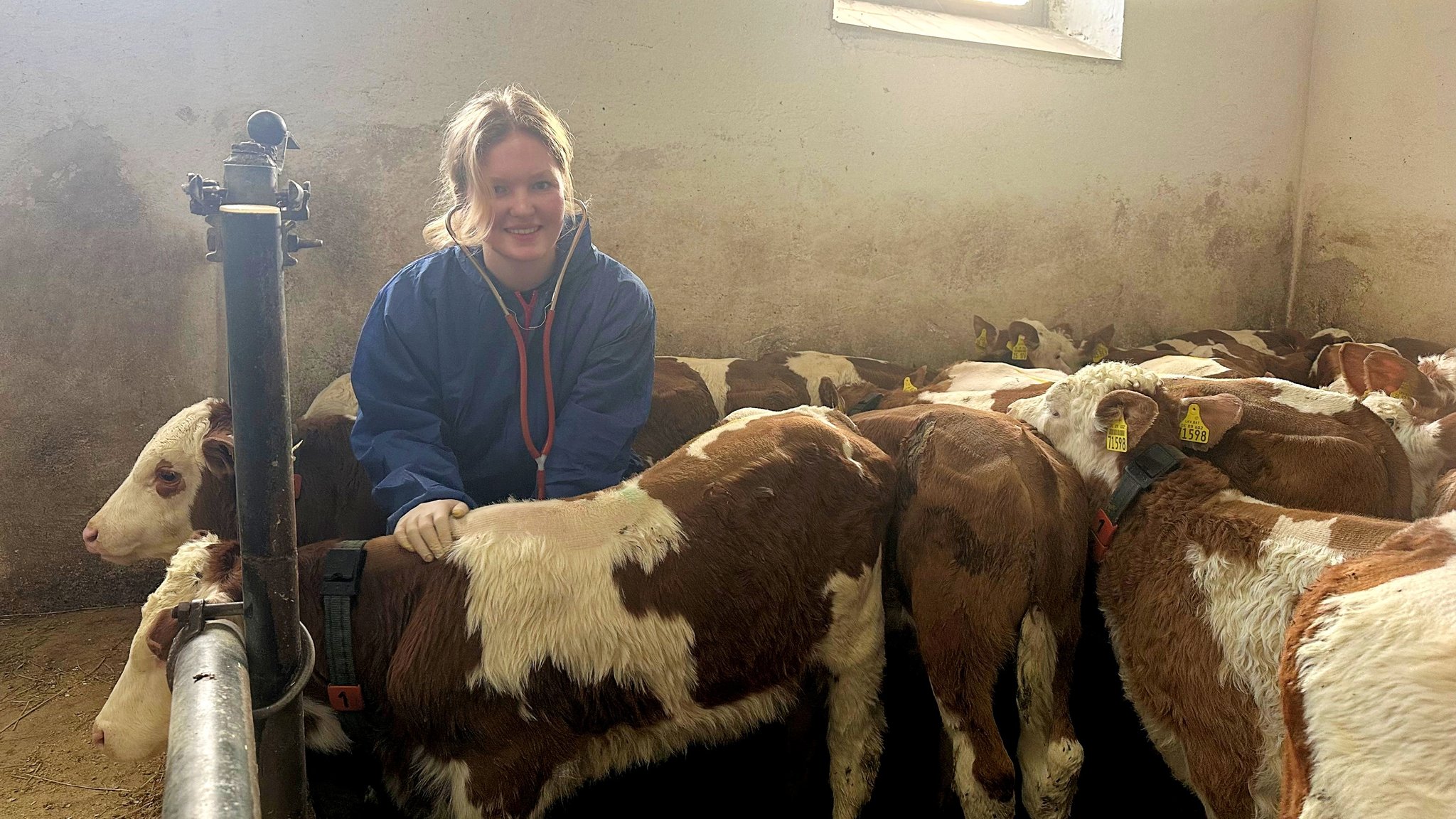 Schülerin Maria Karl will später Tierärztin für Nutztiere werden. | Bild: BR Schülerin Maria Karl will später Tierärztin für Nutztiere werden.