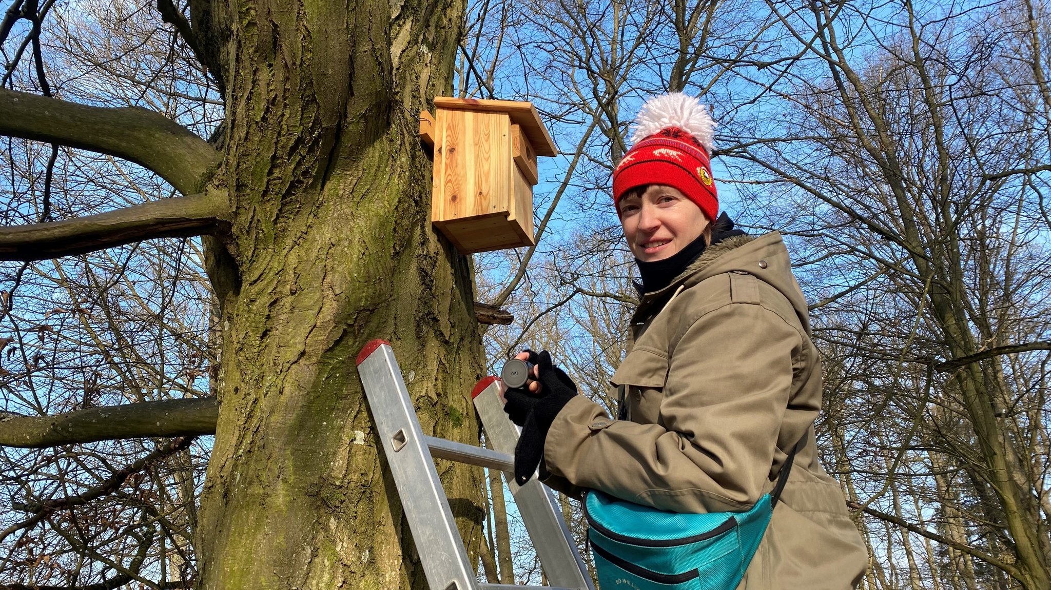 Künstlerin Sophie Innmann auf einer Leiter, die an einem Baum lehnt, packt eine Soundbox in ein Vogelhäuschen.