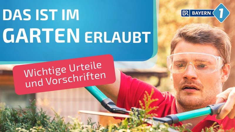 Mann schneidet Hecke | Bild: mauritius images, Montage: BR Mann schneidet Hecke