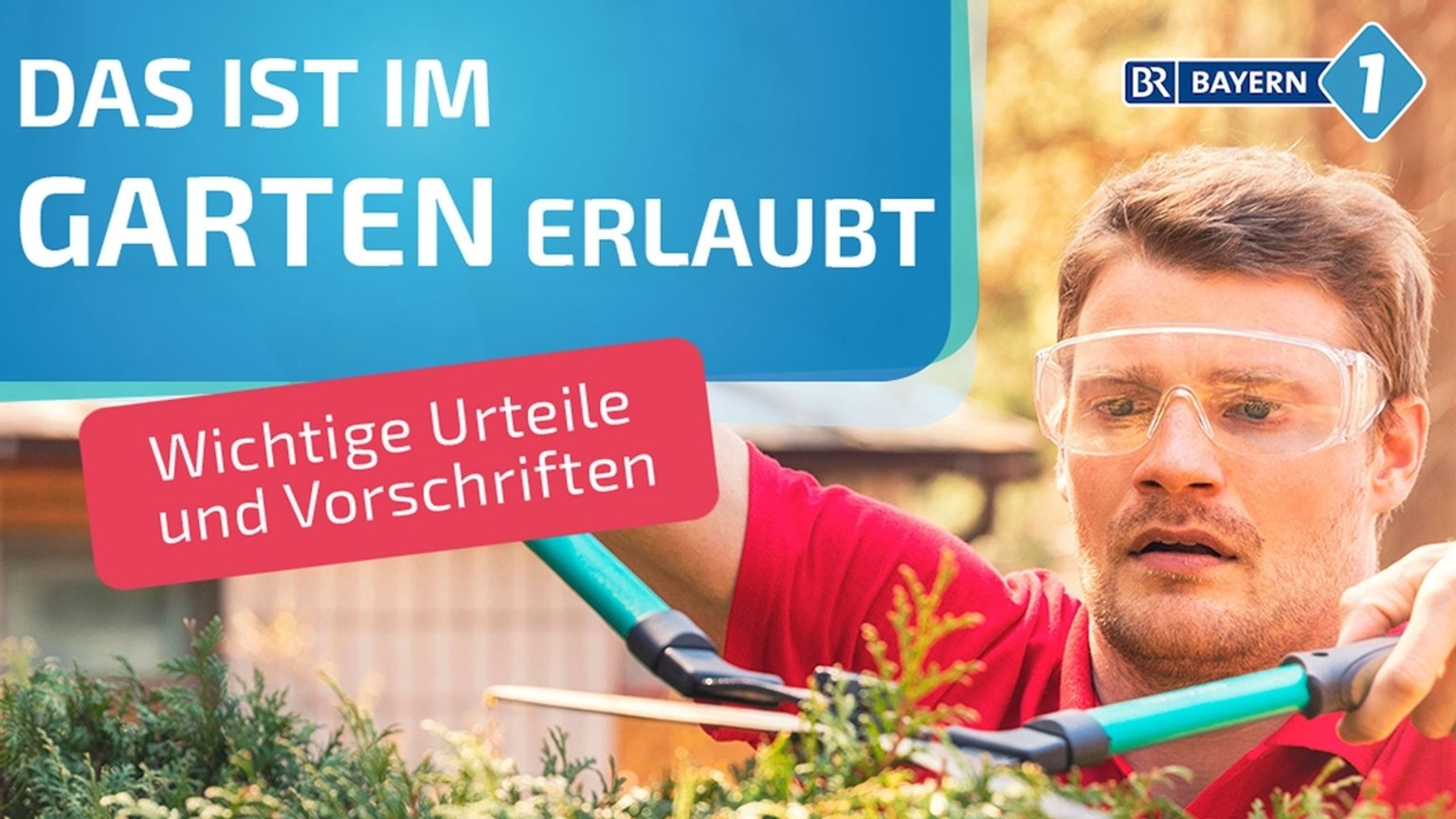 Rasenmähen Was ist an Sonn und Feiertagen im Garten erlaubt? BR24