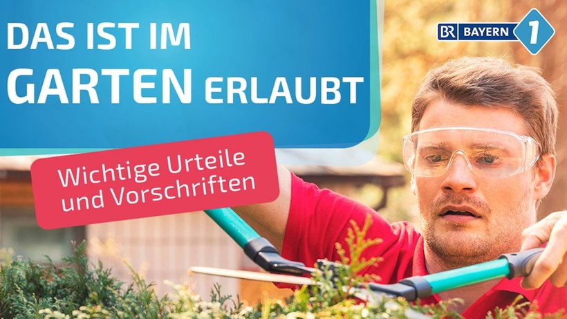 Rasenmähen Was ist an Sonn und Feiertagen im Garten erlaubt? BR24