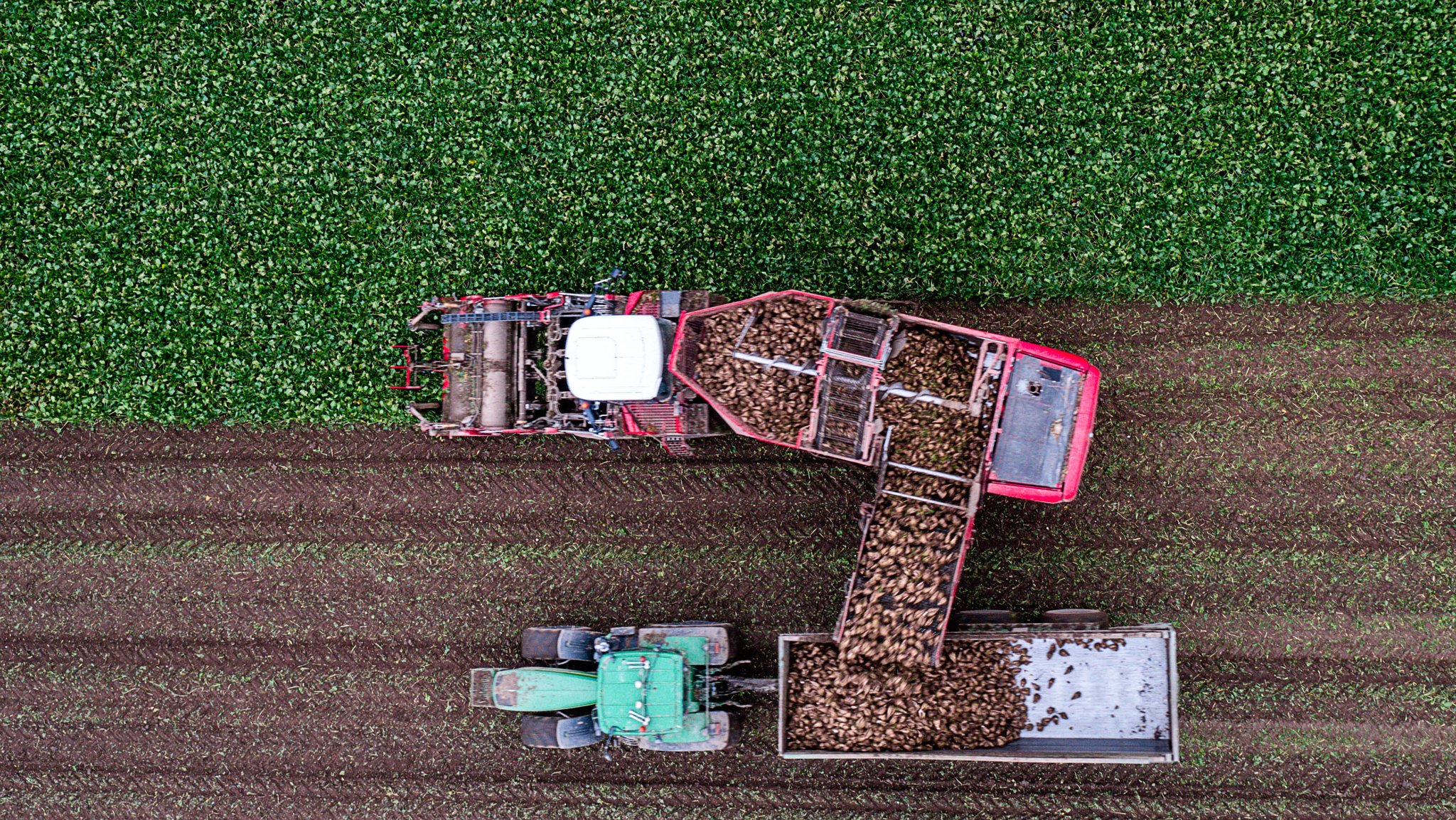 US-Zölle auf Agrarprodukte: Wie stark trifft es Bayerns Bauern? 