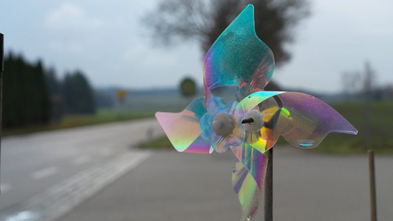 In Bayern wird diskutiert, wo Windanlagen gebaut werden sollen | Bild: Bayerischer Rundfunk 2025 In Bayern wird diskutiert, wo Windanlagen gebaut werden sollen