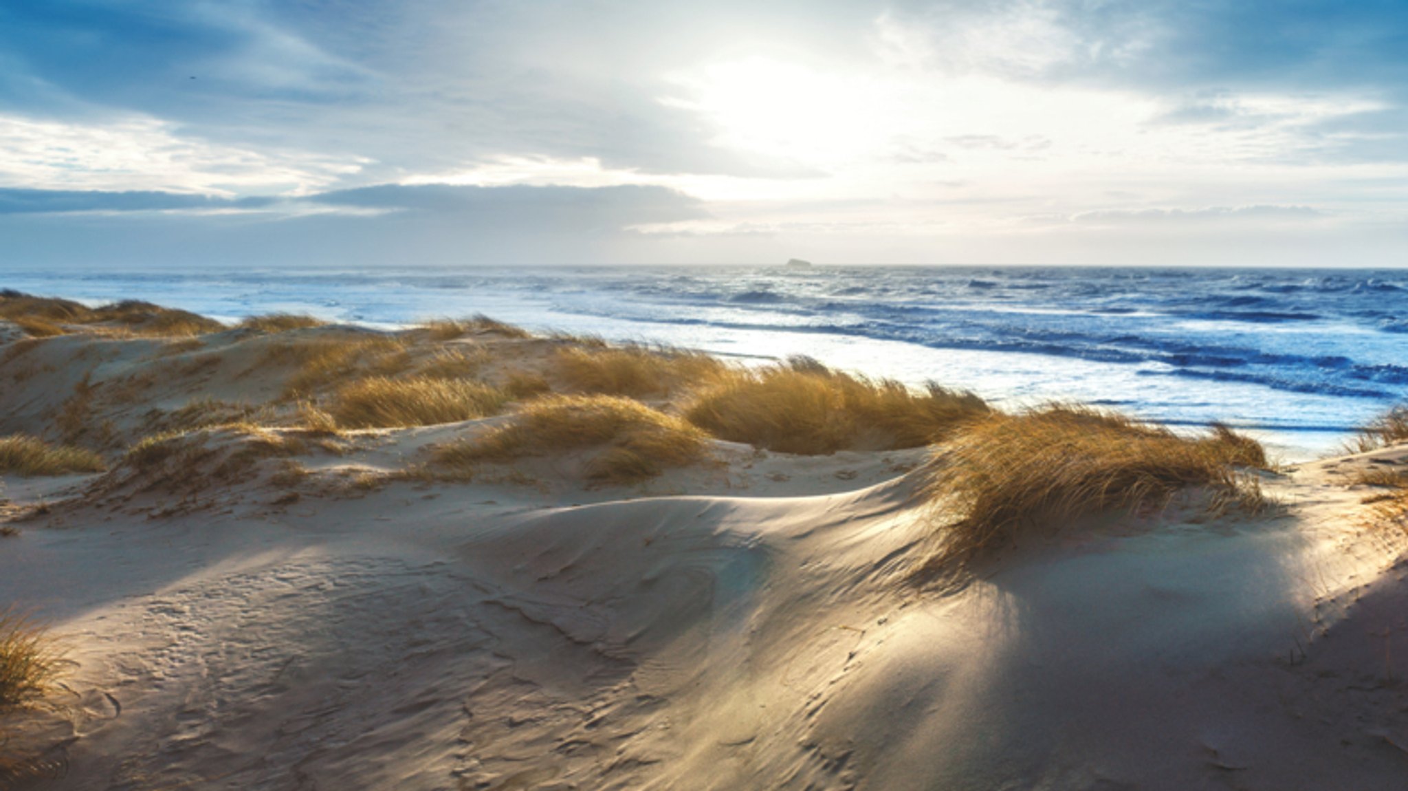 Sanddünen an der Nordseeküste