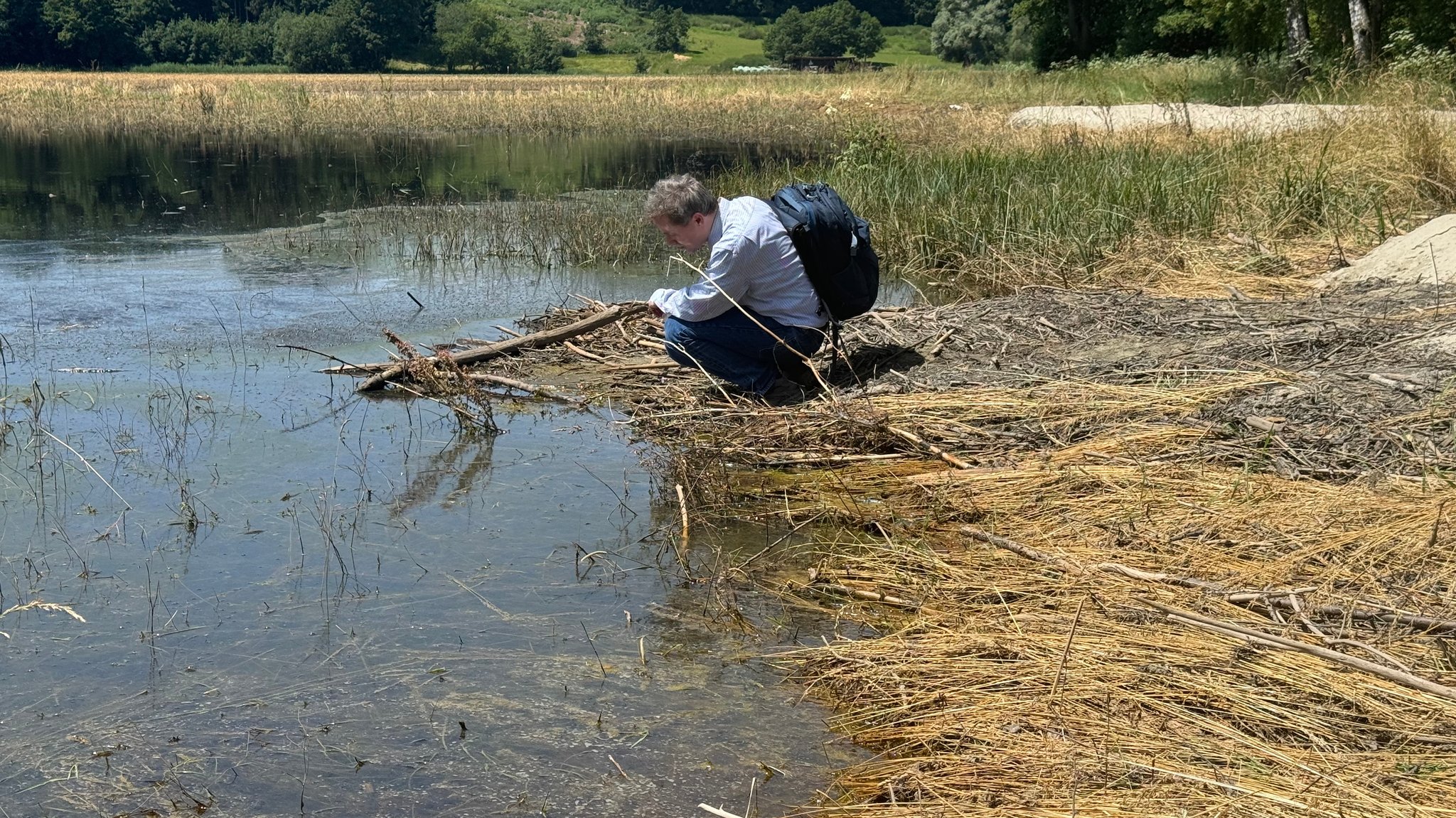 Auf der Suche nach Mücken im vom Hochwasser betroffenen Nordendorf bei Augsburg: Insektenforscher Thomas Morwinsky von der Bundeswehr in München.