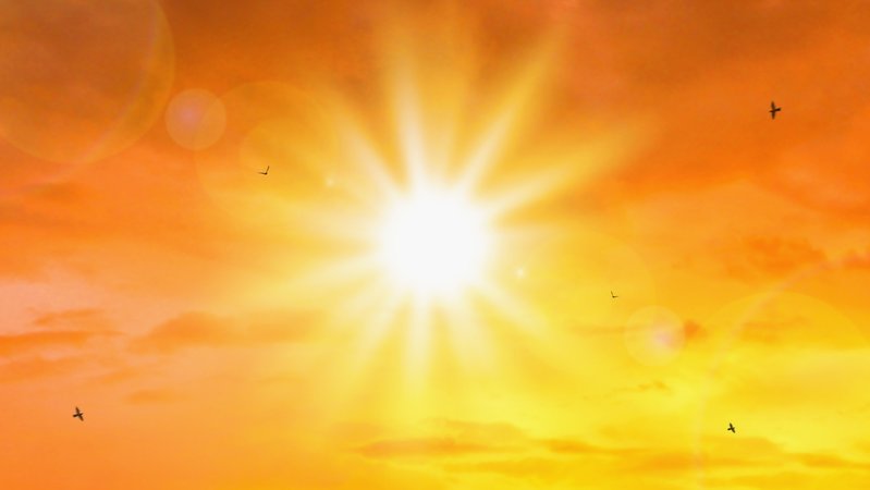 Direkter Blick in die Sonne. Das Bild ist stark orange als Symbol für die Hitzewellen. Es sind vereinzelt fliegende Vögel zu sehen.