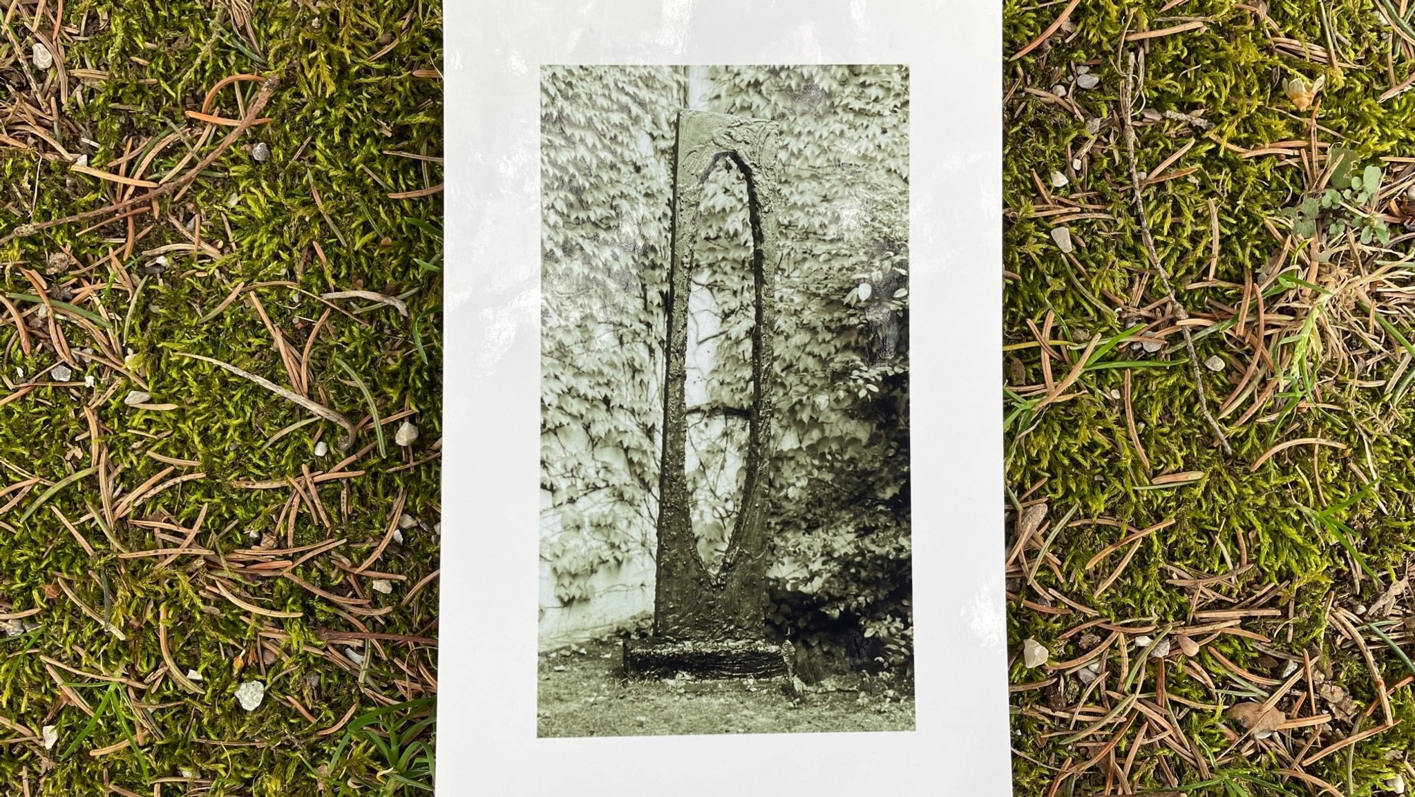 Ein Schwarzweiß-Foto der gestohlenen Gunter-Damisch-Bronze liegt auf dem Boden des Münchner Waldfriedhofs.