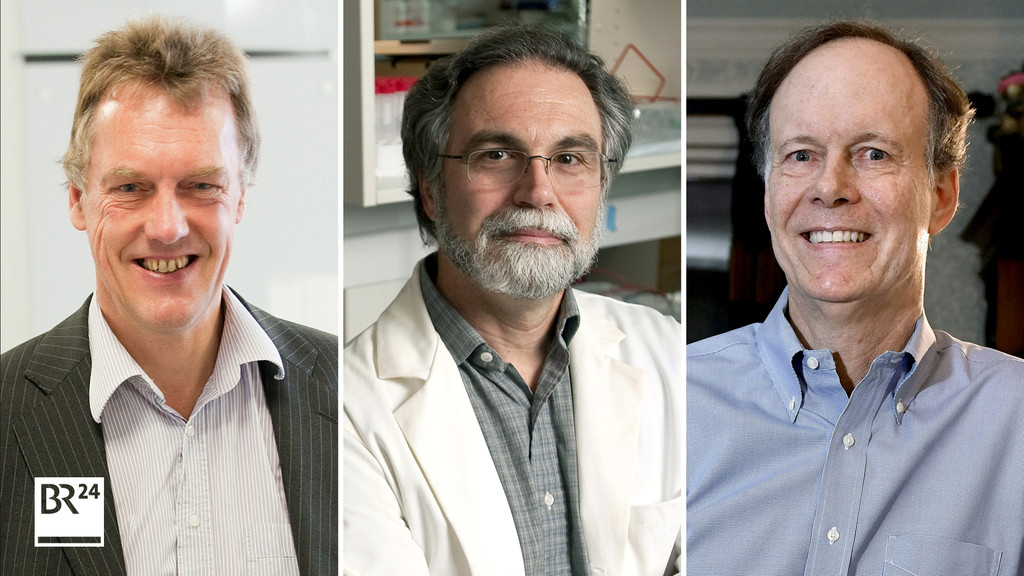 Medizin-Nobelpreisträger 2019: Sir Peter Ratcliffe (Großbritannien), Gregg Semenza (USA), William Kaelin (USA)