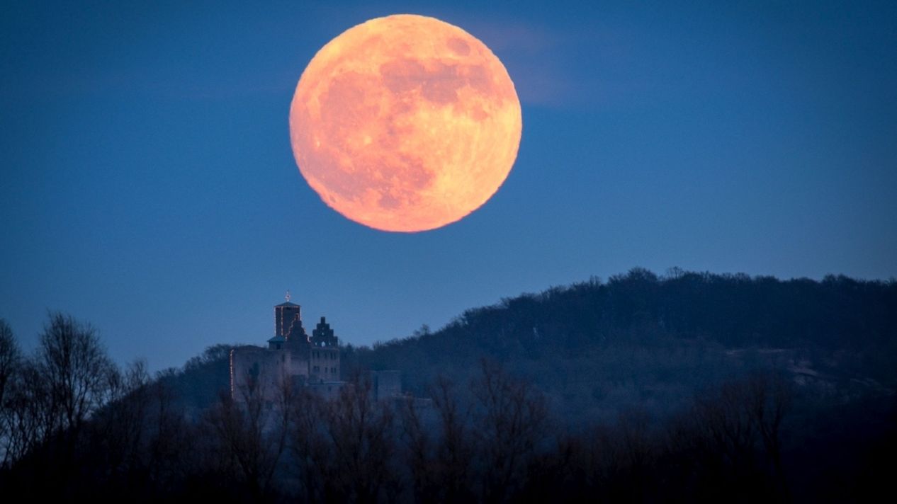 Get Vollmond schlaflos sprueche Free