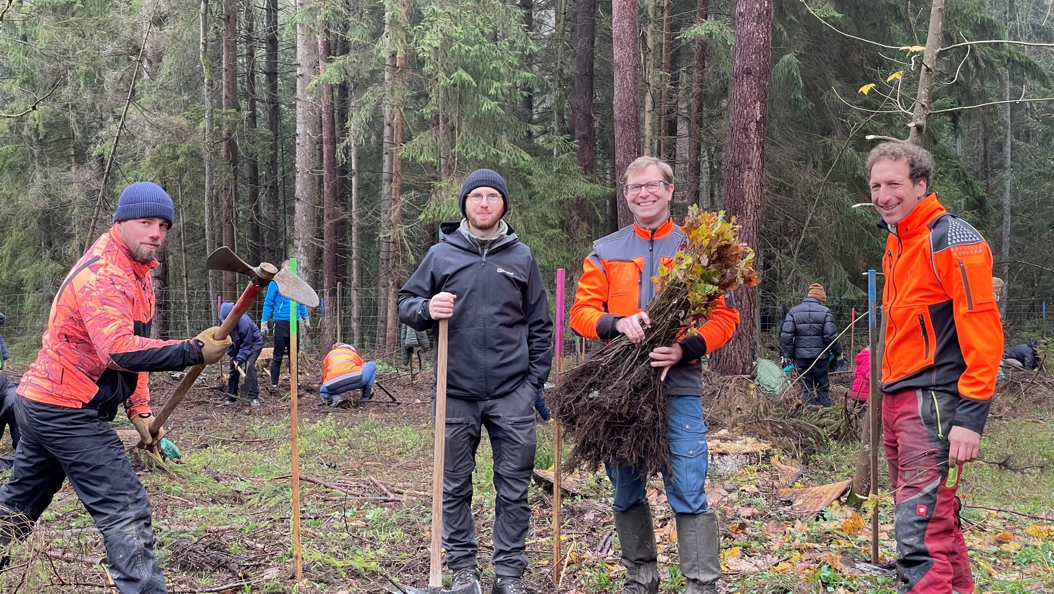 Klimawandel: So muss unser Wald "umgebaut" werden