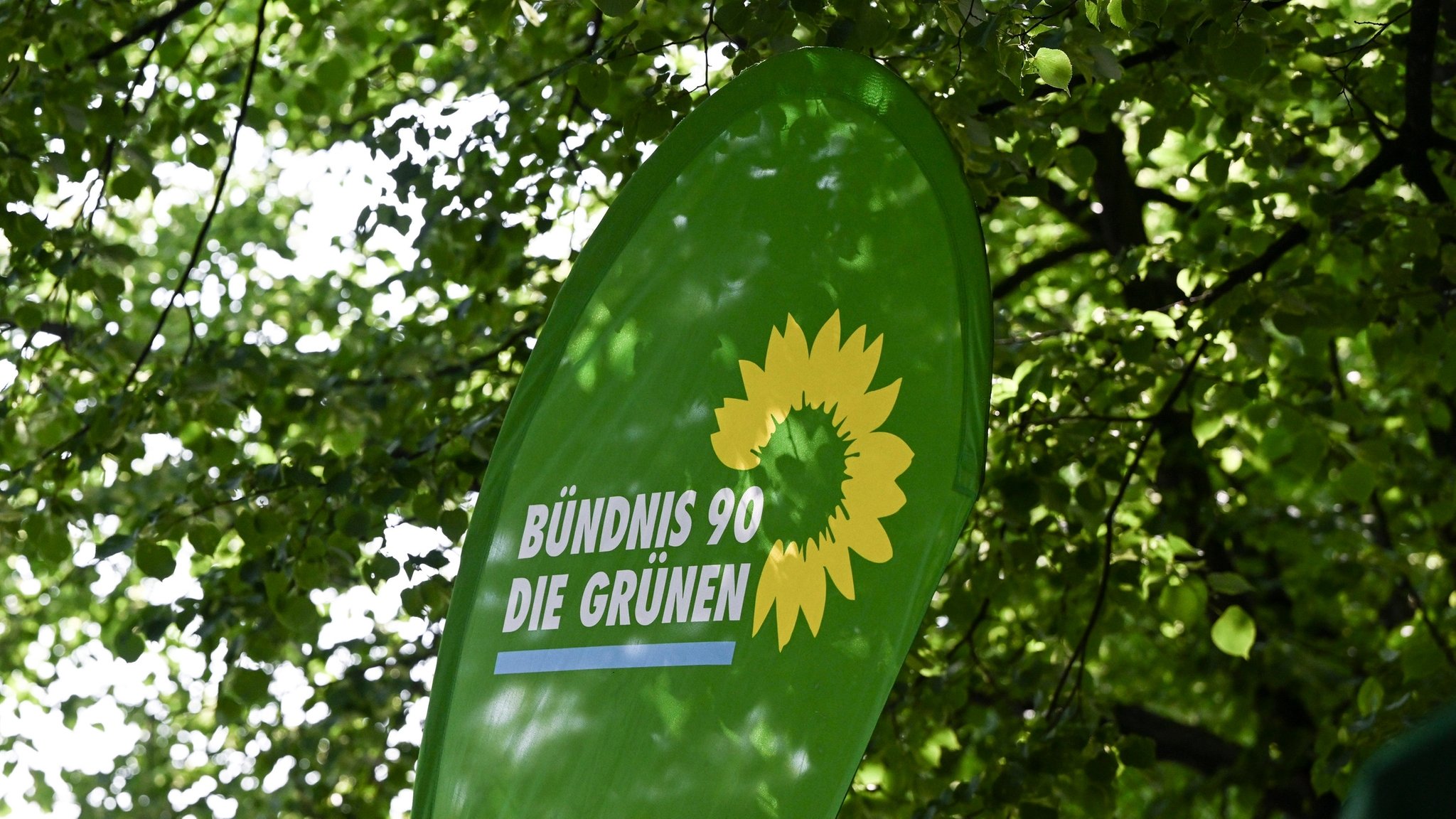 ARCHIV - 26.05.2023, Brandenburg, Potsdam: Das Logo von Bündnis 90/Die Grünen bei der Eröffnung eines Grünen-Büros. (zu dpa: «Grüne Jugend Rheinland-Pfalz stellt sich neu auf») Foto: Jens Kalaene/dpa +++ dpa-Bildfunk +++