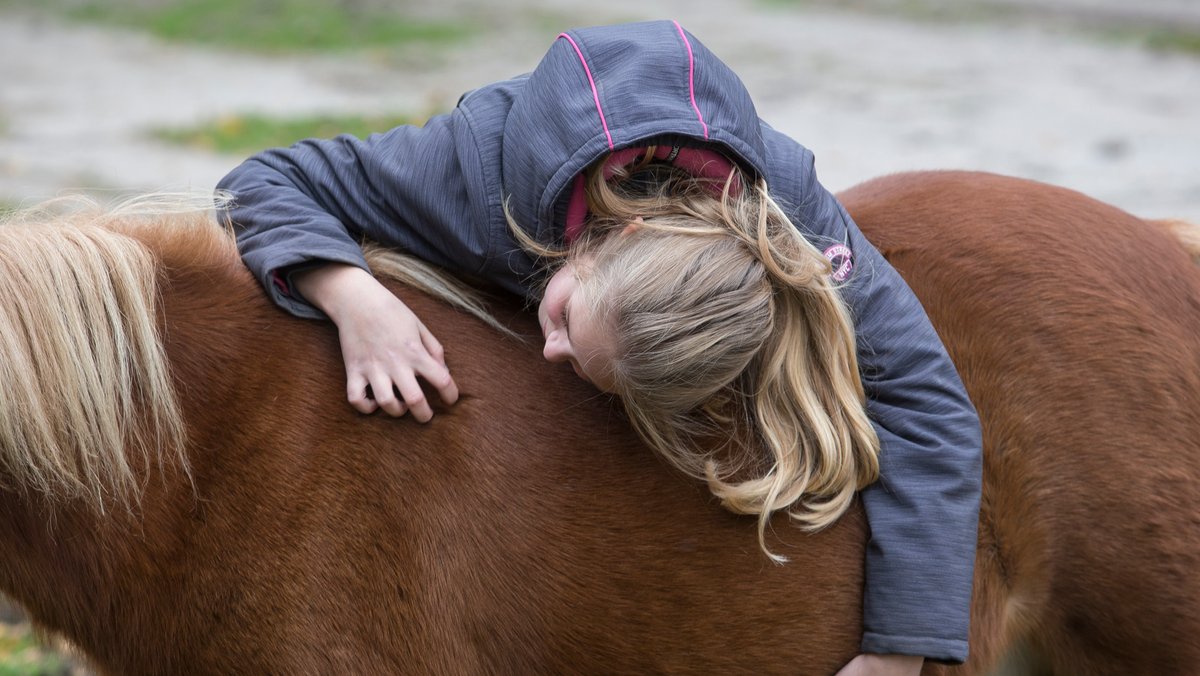 Ein Mädchen liegt auf dem Rücken eines Pferdes.