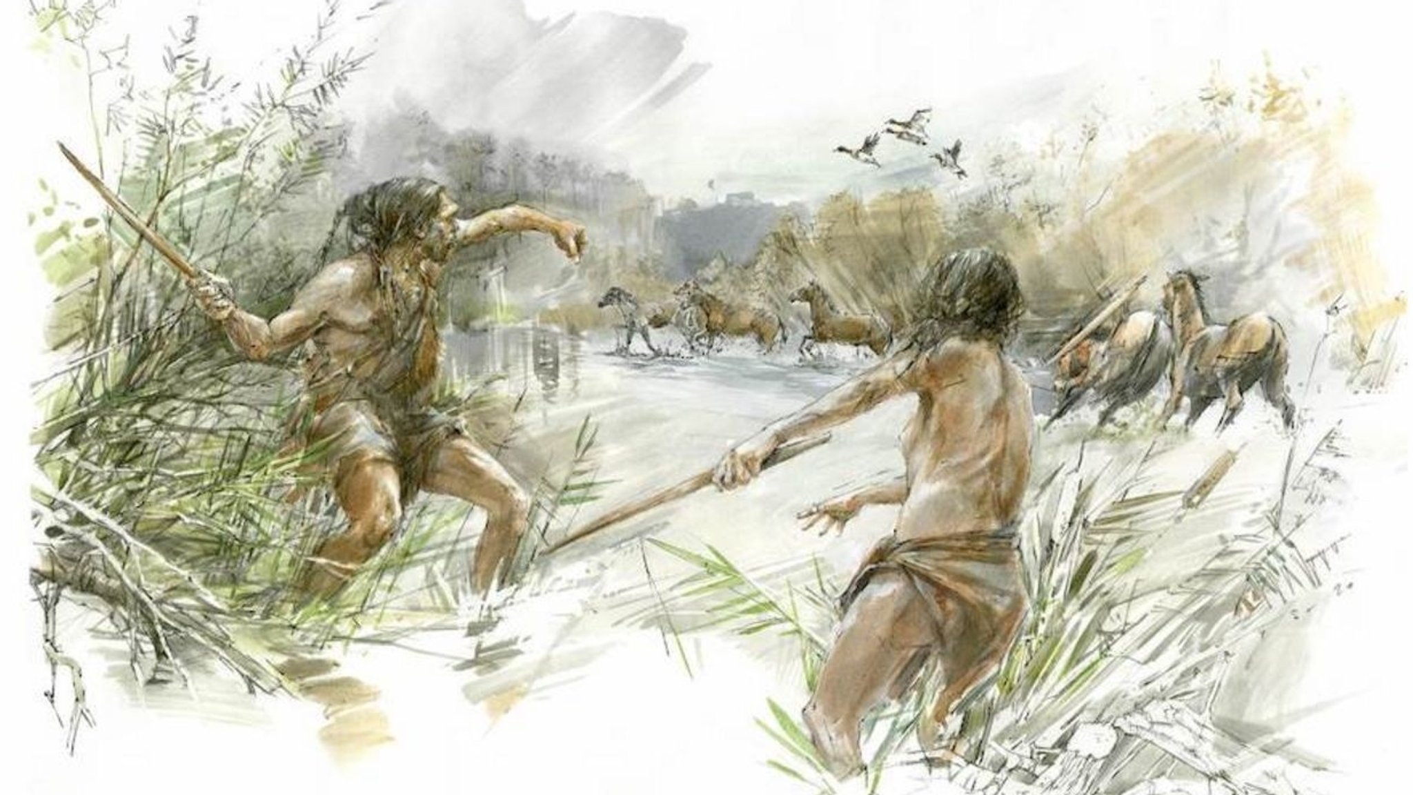 Homo heidelbergensis