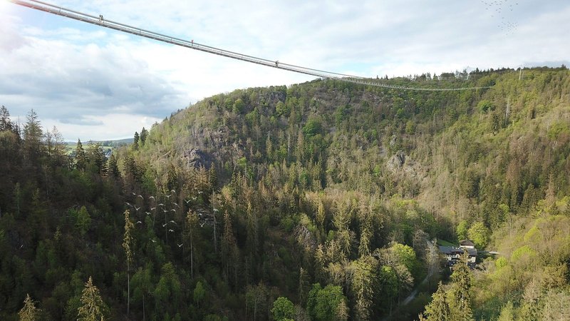 Im Frankenwald sollen die weltweit längsten Fußgänger-Hängebrücken entstehen. Der Kreistag hat jetzt grünes Licht gegeben. | Bild: sbp schlaich bergermann partner Im Frankenwald sollen die weltweit längsten Fußgänger-Hängebrücken entstehen. Der Kreistag hat jetzt grünes Licht gegeben.