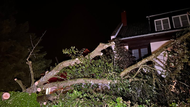 Bodensee-Region:  Ein Baum liegt nach einem Unwetter umgestürzt neben einem Haus. 