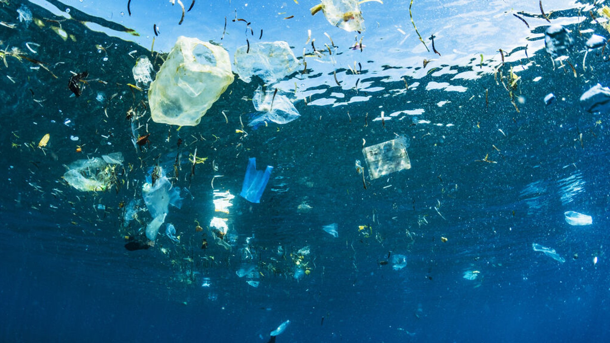 Plastikmüll im indonesischen Meer.