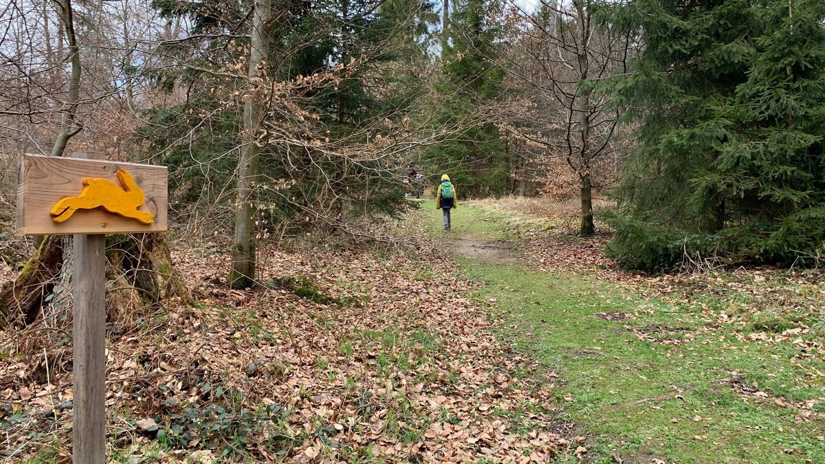 Tafel mit gelbem Hasen im Wald und Kind mit Rucksack geht den Waldweg entlang. 