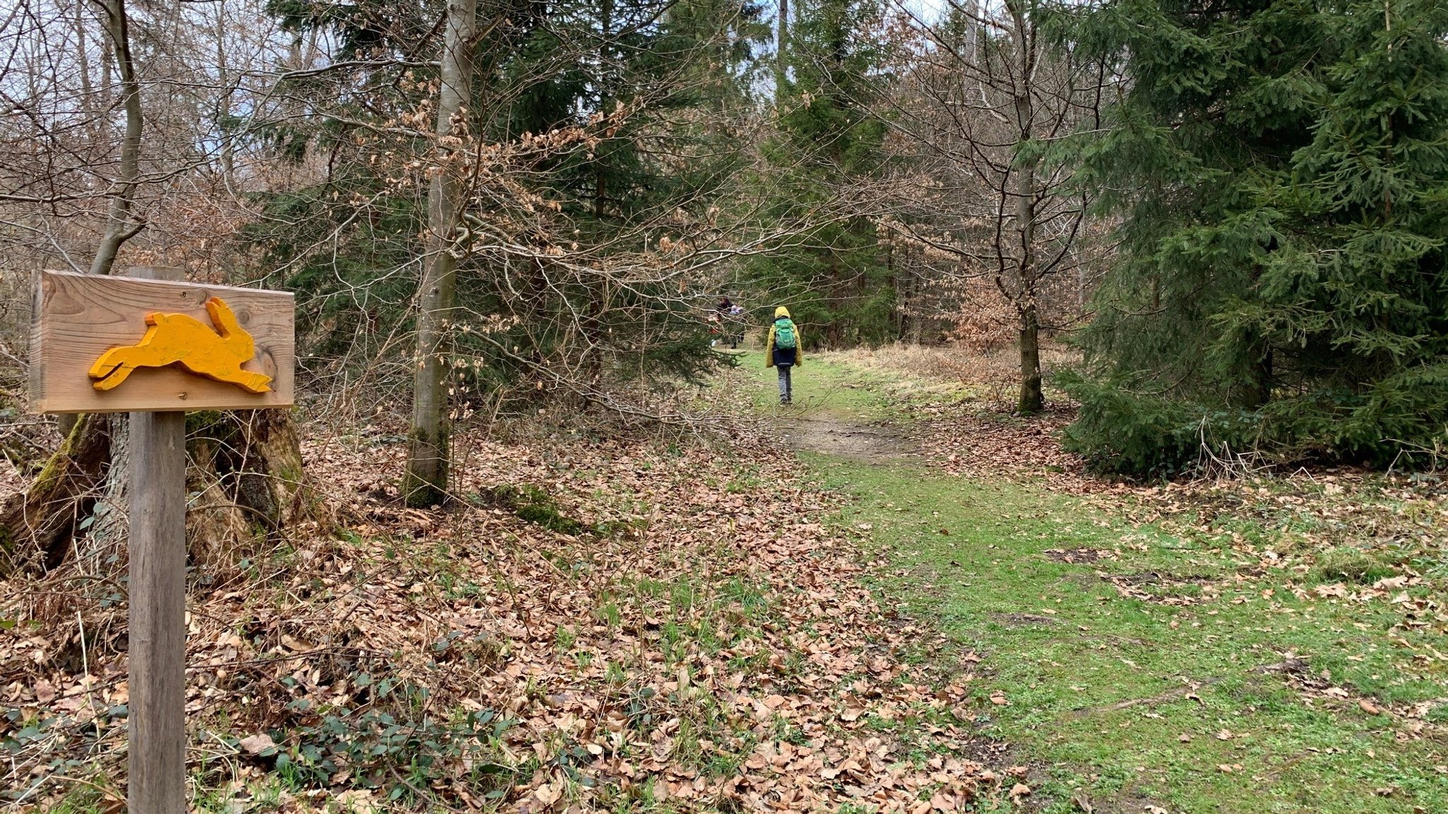 Abenteuer Natur: Zu Besuch im Walderlebniszentrum Schernfeld