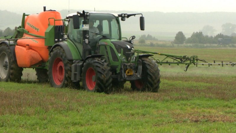 Die Europäische Kommission schlägt vor, die Zulassung des Pestizids um weitere zehn Jahre zu verlängern. 