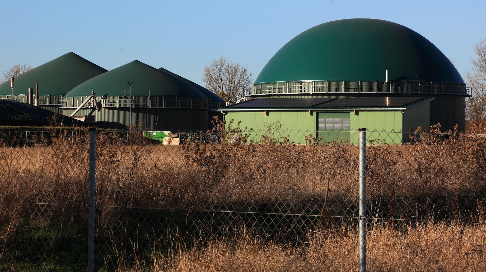 Welche Rolle spielt Biogas in der Energiewende? Und wofür?