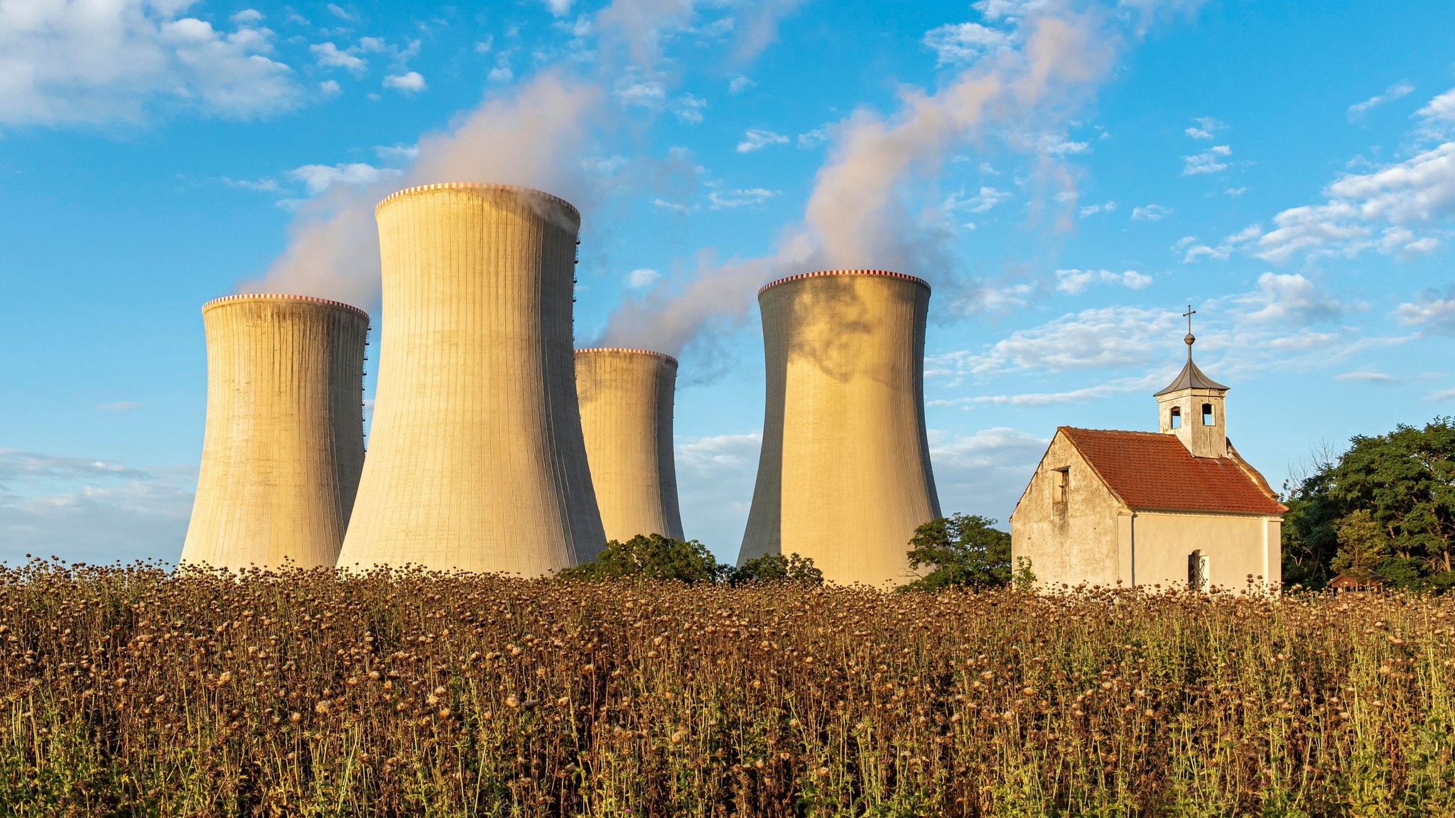 Söder will Atomkraft-Partnerschaft mit Tschechien – Grüne warnen