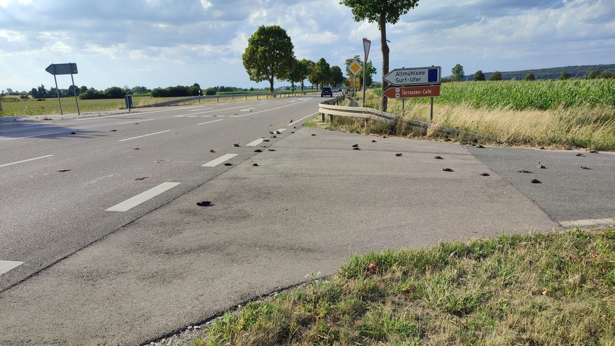 Dutzende tote Vögel auf der Straße nahe des Altmühlsees