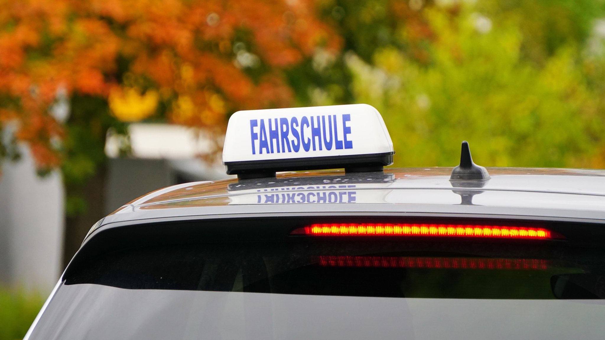 Führerschein-Reform: Leichter, digitaler – und daher günstiger?