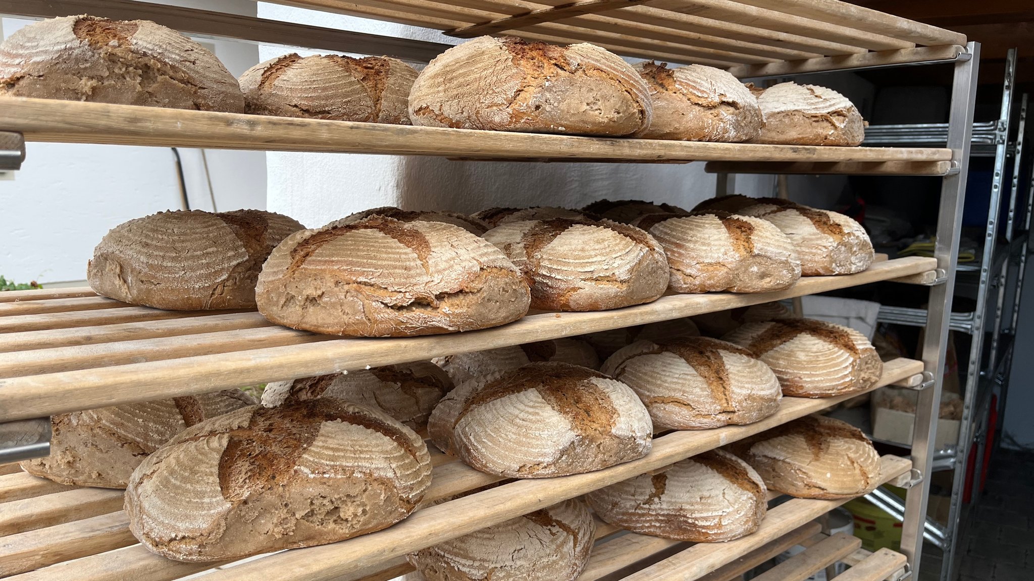 So kommen die Dinkelbrote aus dem Ofen. Viele Kunden schätzen das handwerkliche Backen mit langen Quellzeiten.