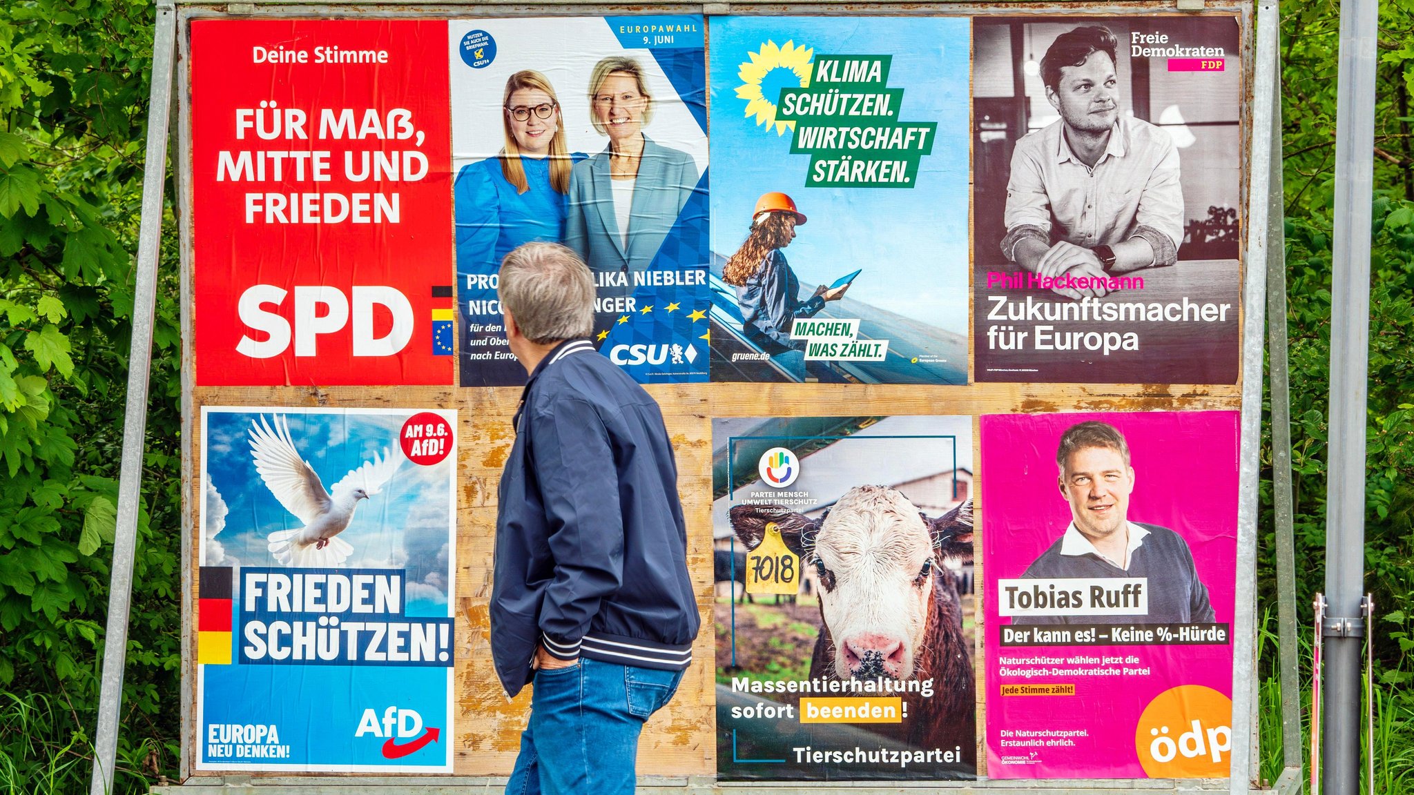 Mann steht vor Wahlplakaten in Bayern zur Europawahl.