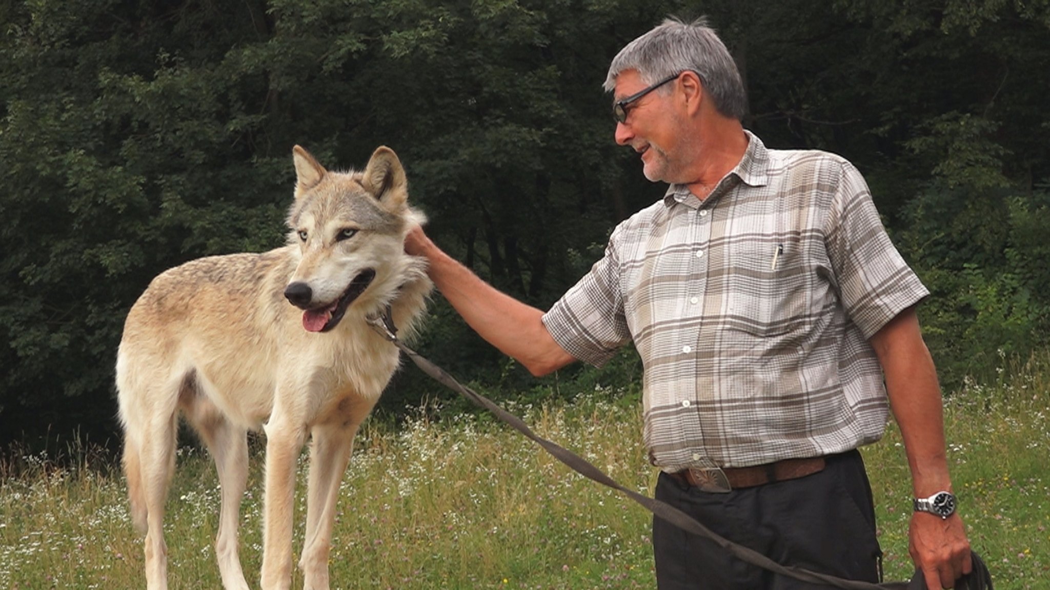 Kurt und Wolf beim Spaziergang. | Bild: BR/Markus Schmidbauer Kurt und Wolf beim Spaziergang.