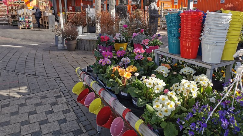 Blumenläden und Baumärkte haben in Bayern bereits wieder geöffnet.