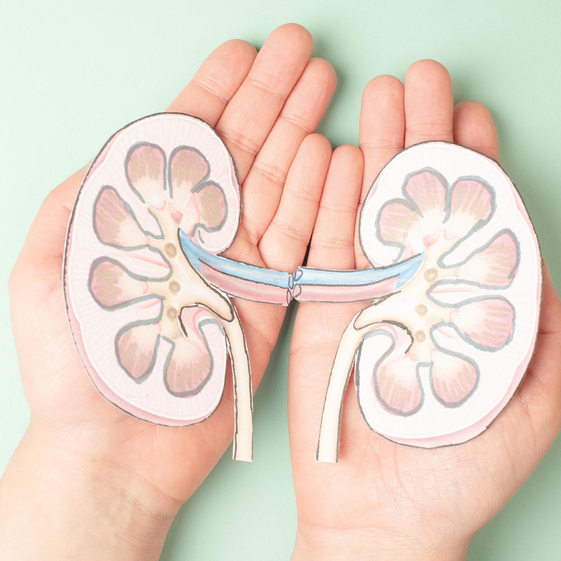 Transplantationsmediziner Bernhard Banas: Nierenspende erleichern