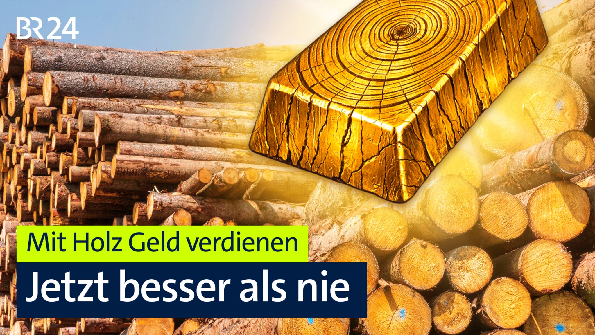 VIDEO: Mit Holz Geld verdienen – jetzt besser als nie