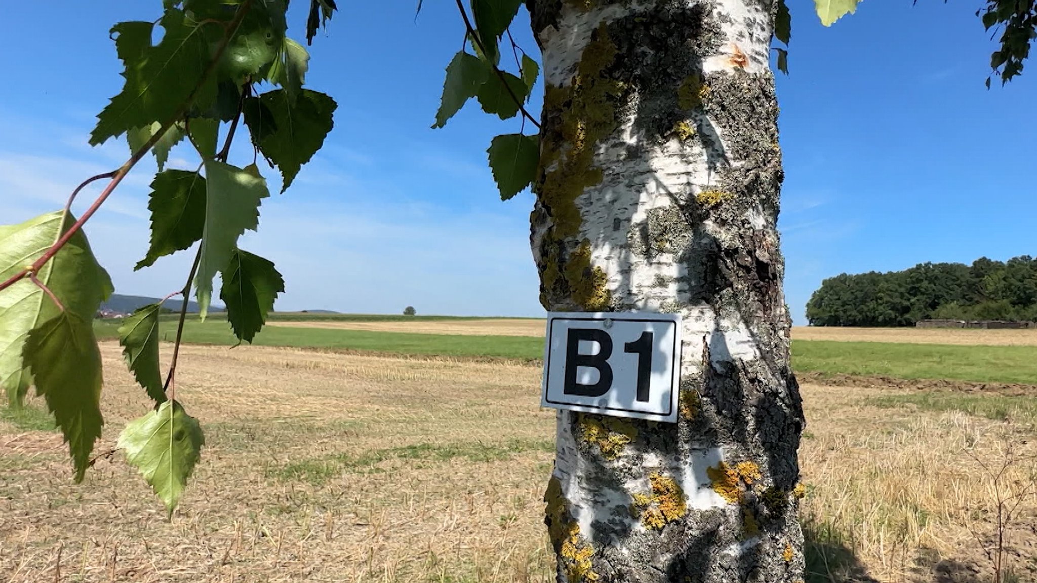 B1 - hier keine Bundesstraße, sondern ein ausgeschilderter Wanderweg