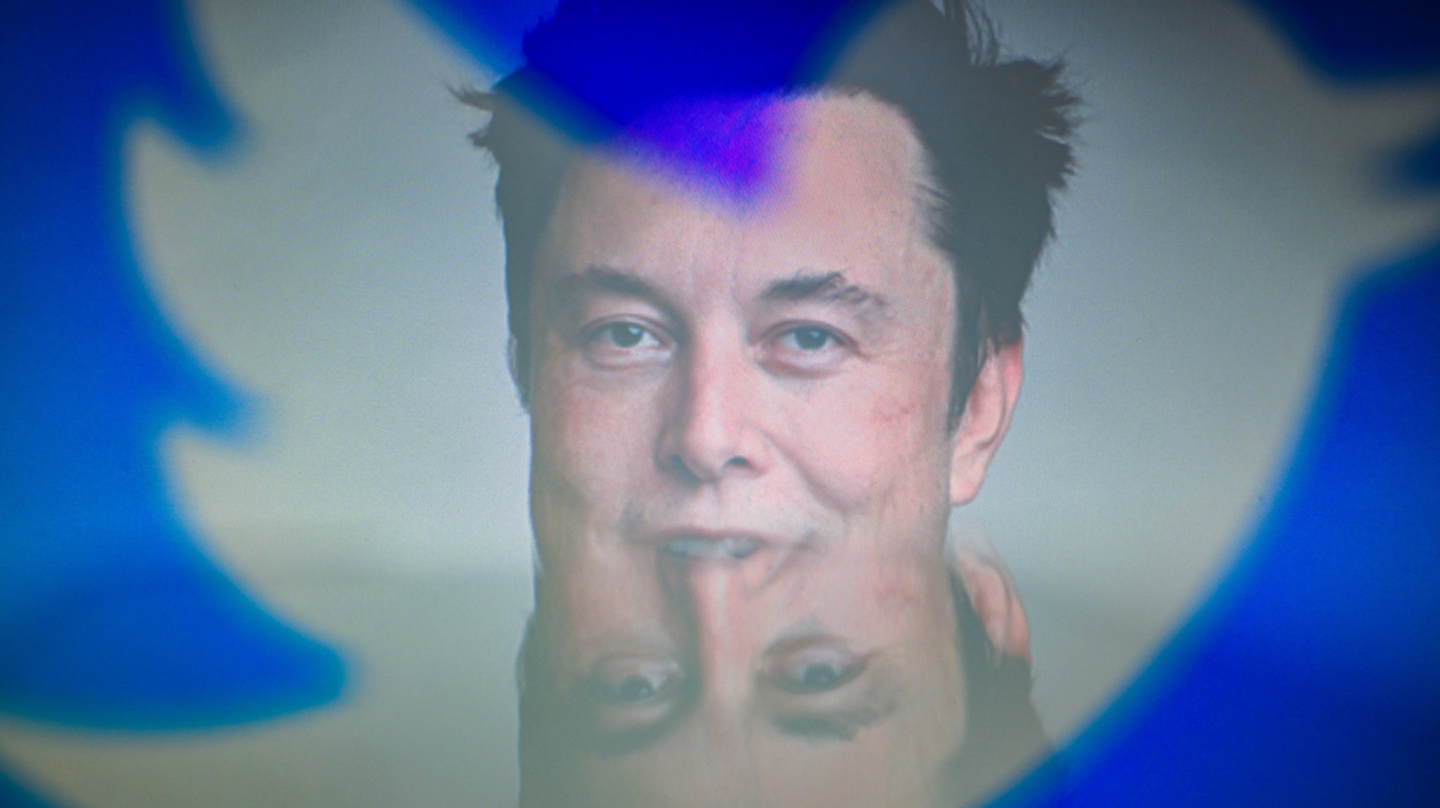 Elon Musk und das Twitter-Logo