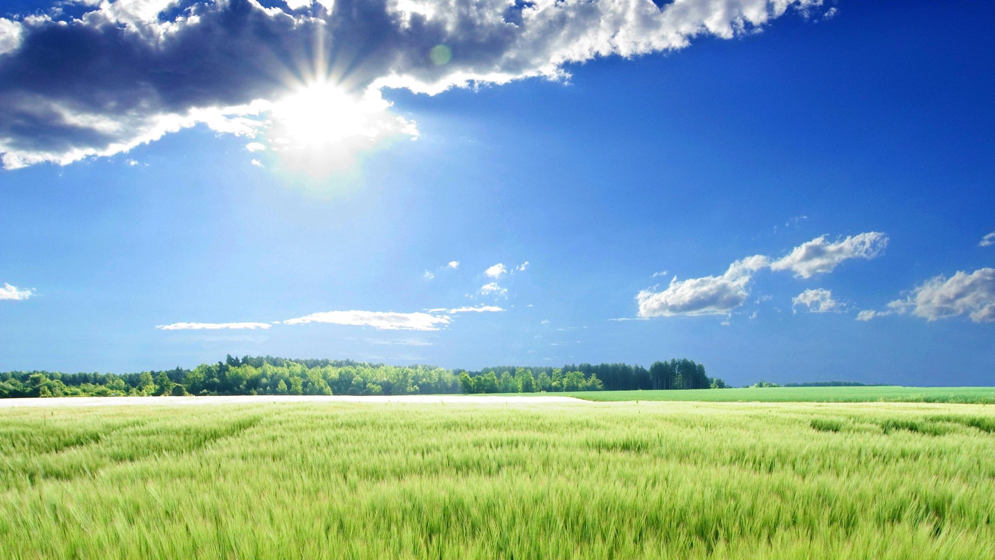 Bis zu 28 Grad: Sommerliche Aussichten für das Wochenende