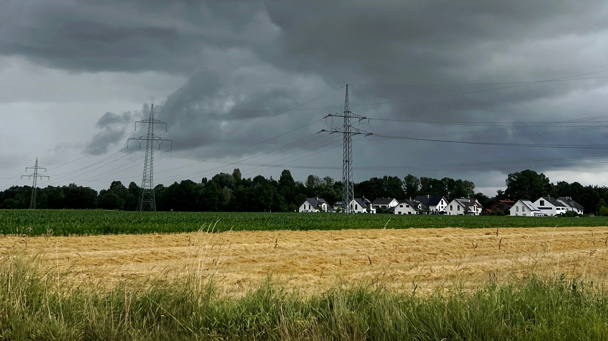 Landwirte kämpfen mit Hochwasser, Schädlingen und Bürokratie