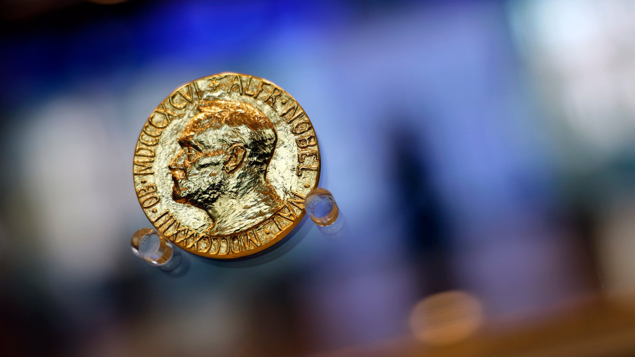 Symbolbild: Nobelpreis | Bild: picture alliance / Panama Pictures | Christoph Hardt Symbolbild: Nobelpreis