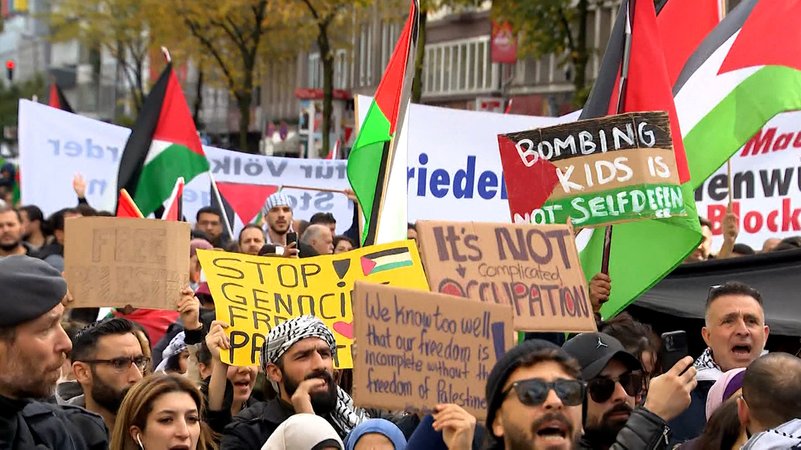 Pro-Palästina-Demonstranten.