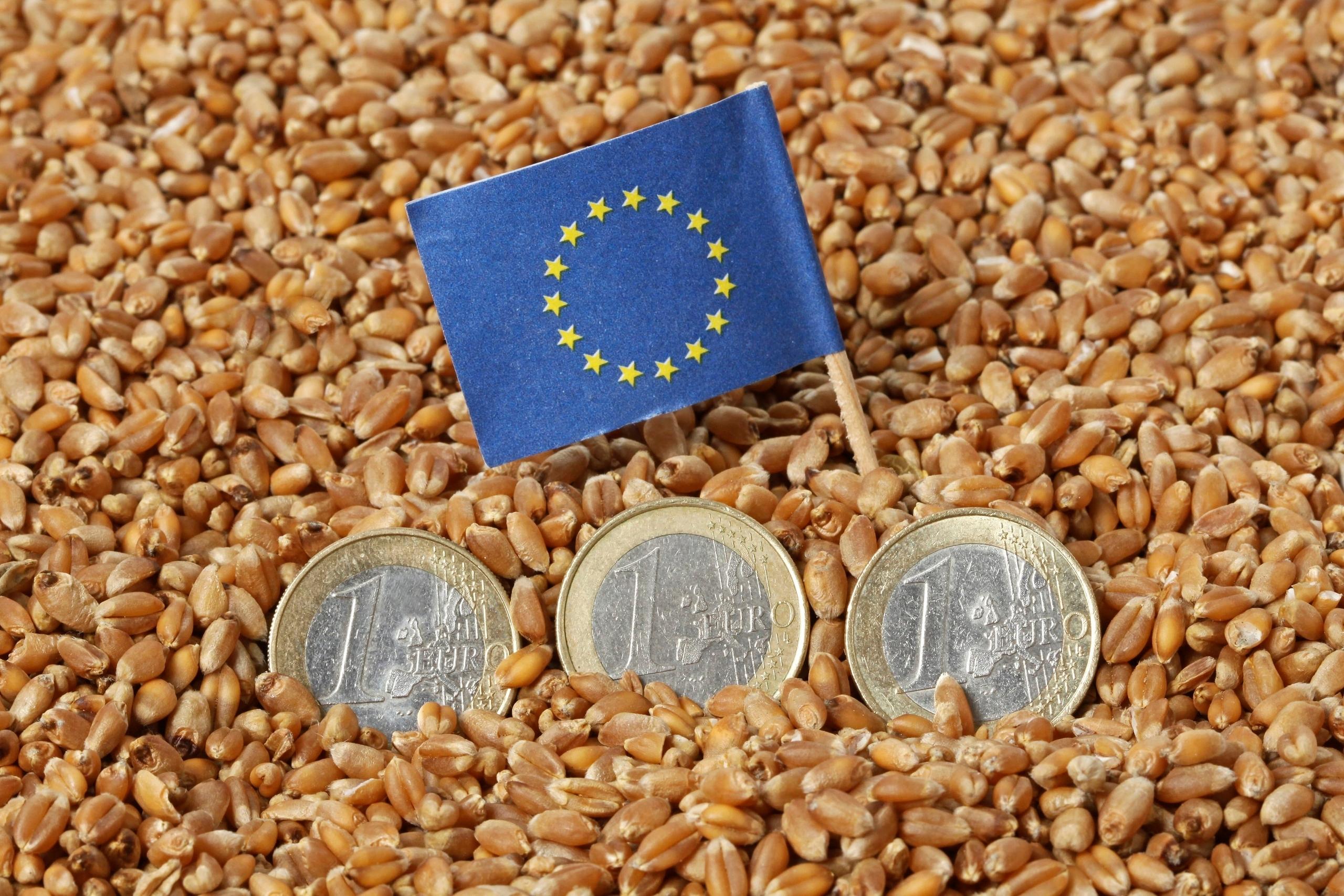 Drei 1-Euro-Münzen liegen in Getreidekörnern. Dahinter steckt ein blaues EU-Fähnchen mit den EU-Sternen. (Symbolbild)