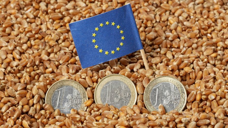 Drei 1-Euro-Münzen liegen in Getreidekörnern. Dahinter steckt ein blaues EU-Fähnchen mit den EU-Sternen. (Symbolbild)